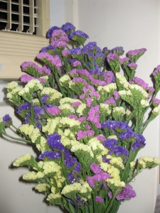 Purty flowers I got, no connection to the post :D